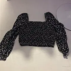 Item thumbnail for item 541e63d9-171c-4b65-8528-bf270584f722