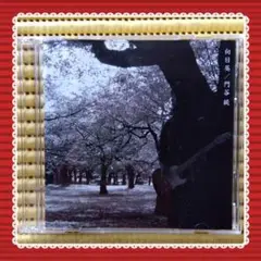 CD　門谷純　「向日葵」　まとめ買い