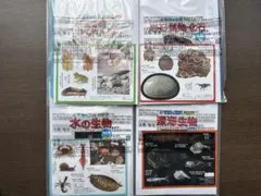 マクドナルド ハッピーセット 小学校の図NEO ずかん4冊セット