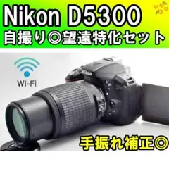 付属品多数WiFi機能付☆Nikon D5300☆初めての一眼レフに動画撮影OK