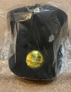 エディオン　ぽこあポケモン　キャップ　メタモン