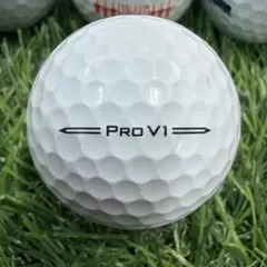 ロストボール⭐︎Titleist Pro V1⭐︎4461
