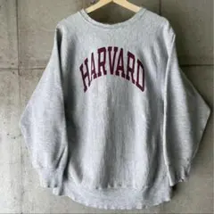 80's CHAMPION REVERSE WEAVE SWEAT 染み込み