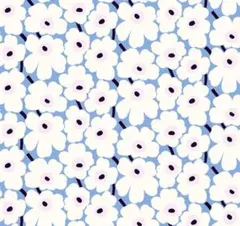 Item thumbnail for item 24771d4c-2fac-4459-ba7d-7e0c5a4e7c28