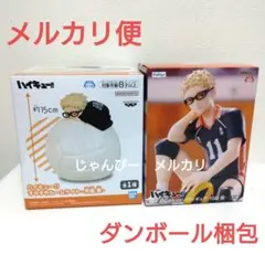 【匿名配送】ハイキュー　すやすやルームライト　ぬーどるストッパー　月島蛍