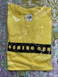 Item thumbnail for item d67a2f05-704f-470a-be66-55de5284bf3f