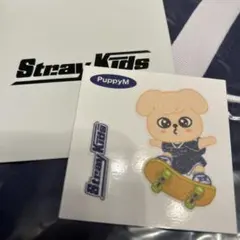 stray kids スンミン デコステッカー