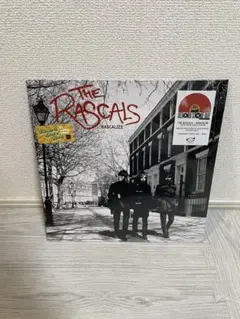 The Rowdies ACBC パンク天国 KBD 初期パンク オリジナル盤 The Rowdies ACBC パンク天国 KBD 初期パンク オリジナル盤 - メルカリ
