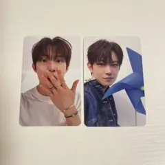 ALD1 ゴヌ おやまぁ 風車 ヨントン トレカ