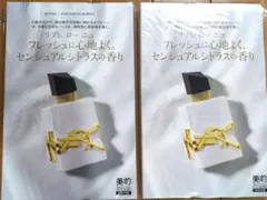 美的スペシャル 6月号 付録 イヴ・サンローラン 香水×2
