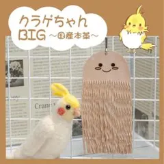 Item thumbnail for item 108b324c-6846-4c71-8bcf-4ea15f7f79f9