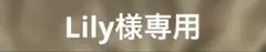 Llily様専用　ウォーターシール　全5種コンプ