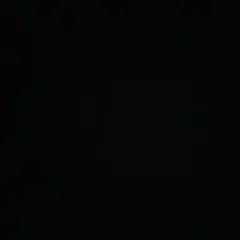シャバ嬢様専用
