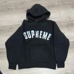Supreme Icy Arc Hooded Sweatshirt 