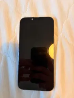 Apple iPhone 13 Pro Max 256GB ジャンク品