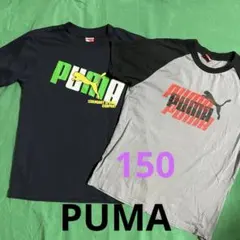 PUMA Tシャツ 2枚セット 150サイズ