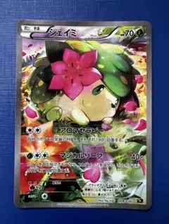 2025年最新】シェイミ cp5の人気アイテム - メルカリ