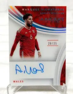 Item thumbnail for item 740b7b29-6907-422d-873f-f02560e86533