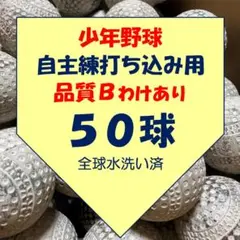 Item thumbnail for item f429826b-d05c-4a55-9e3c-77499b523d49