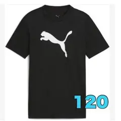 120 プーマ Tシャツ キッズ　黒　半袖　ロゴ　スポーツ　ブラック