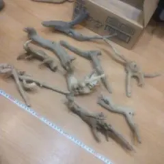 Item thumbnail for item 6e1545e1-d589-44bb-bd29-68566464595a