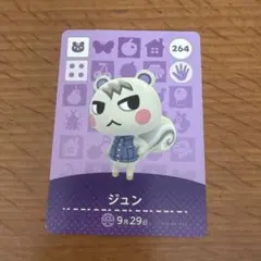 2026年最新】amiiboカードジュンの人気アイテム - メルカリ
