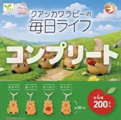 ★全4種コンプセット★ クアッカワラビーの毎日ライフ　ガチャ