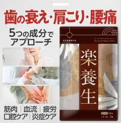 【指定医薬部外品】楽養生 １袋　90錠　1ヶ月分　L-システイン　タブレットのサムネイル