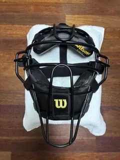 Item thumbnail for item 80856d95-9cc3-4d12-afdc-b657958dbaa0