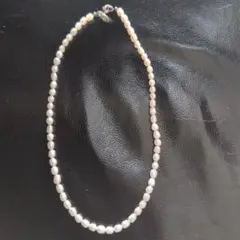 Item thumbnail for item f7645ce1-c533-4aed-8c2c-07661b38993f