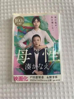 母性 湊かなえ　小説　永野芽郁　戸田恵梨香