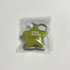 STARGLOW STARCRUISE Local Liquid Keyring - メルカリ