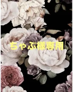 ちゃぷ様専用ページ