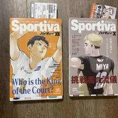 ハイキュー　ショーセツバン　２冊セット