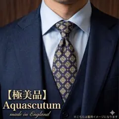 2026年最新】aquascutum ネクタイピンの人気アイテム - メルカリ