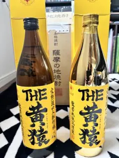 超希少レア、辰巳蒸留所、アブサン2年、グリーンアブサン、瓶ボトル2本