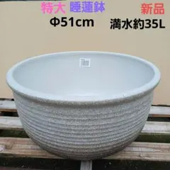 新品 特大51 陶器 睡蓮鉢 メダカ鉢 難有 ラリマーブルー スカイブルー
