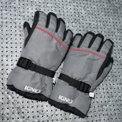 IGNIO 150cm スノーグローブ スキー スノーボード