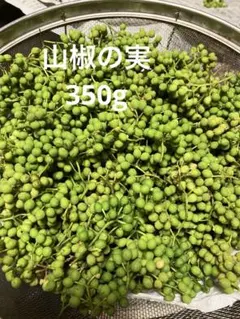 35天然　山椒の実　2キロ➕@ 採りたて　青森産　クール便 天然 山椒の実 500g 採りたて 青森産 クール便 - メルカリ