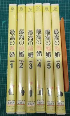 最高の離婚 全6巻