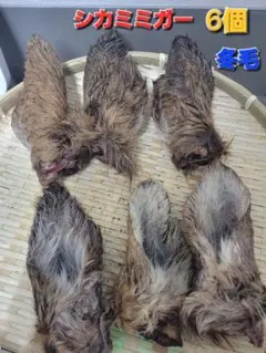 user_14fd3edf様 リクエスト 2点 まとめ商品