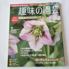 くまお様 リクエスト 3点 まとめ商品