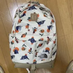 Himawari様ノースフェイス ホワイトベア リュック SMALL DAY - メルカリ