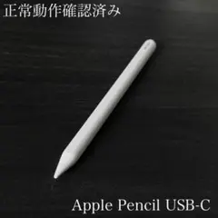良品　正常動作確認済み　Apple Pencil USB-C　MUWA3ZA/A