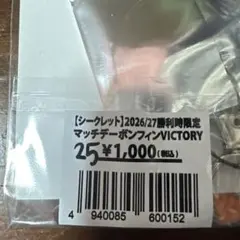 清水エスパルス 勝利時ボンフィン ブルネッティ