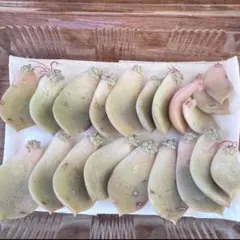 多肉植物 白牡丹の葉挿し(約25個)セットのサムネイル