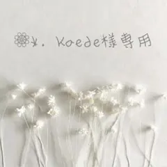 ❁﻿ ❁⃘*. Kaede様専用❁﻿