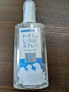 Item thumbnail for item 28cf1811-f261-4791-9adf-29ef6d243107