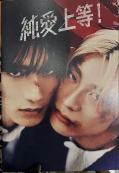 純愛上等 パンフレット 新品未使用 山中柔太朗　 高松アロハ　堀夏喜