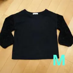 Item thumbnail for item ee14c41b-684d-4775-8659-82a6591f5549